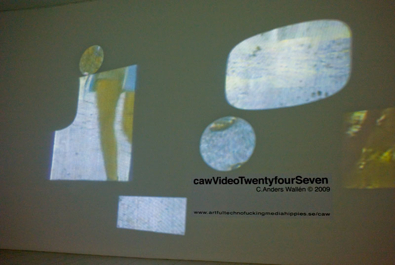 cawVideo24-7  reflektioner